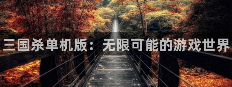 长征娱乐升级5994月：三国杀单机版：无限可能的游戏世界