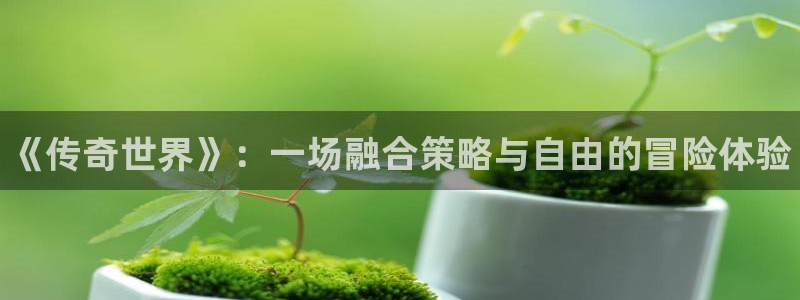 长征娱乐登录地址：《传奇世界》：一场融合策略与自由的冒险体验