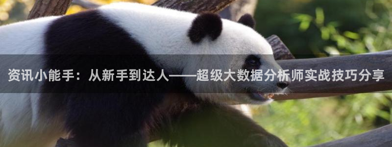 长征娱乐官方登录网址：资讯小能手：从新手到达人——超级大数据