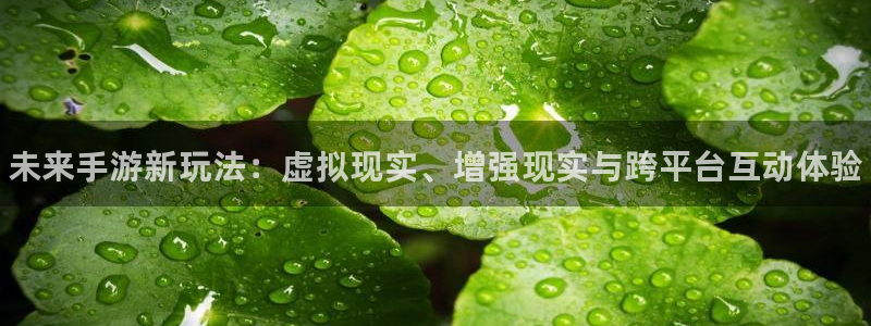 长征娱乐平台官网入口