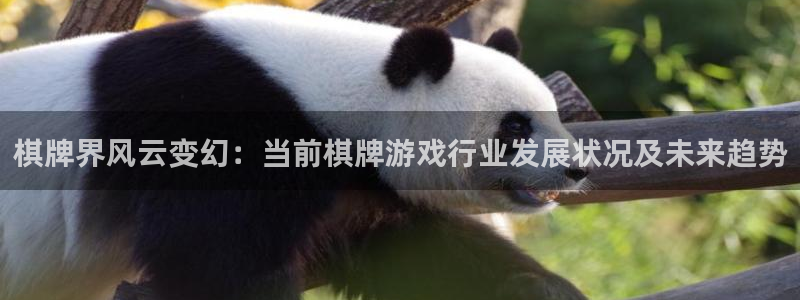 长征娱乐4主管：棋牌界风云变幻：当前棋牌游戏行业发展状况及未