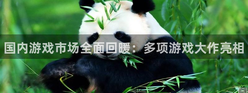 长征娱乐app下载：国内游戏市场全面回暖：多项游戏大作亮相