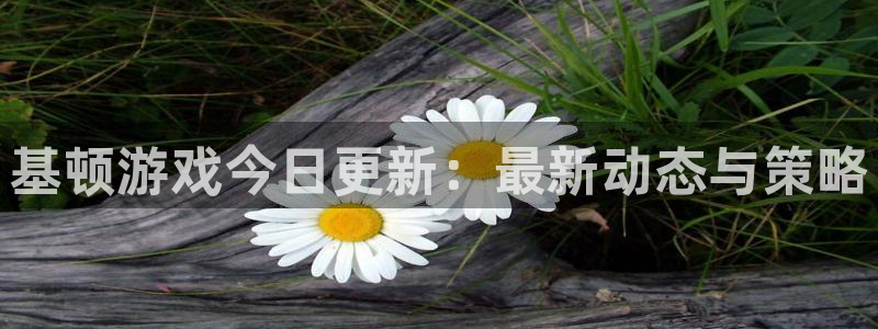 长征娱乐登陆：基顿游戏今日更新：最新动态与策略