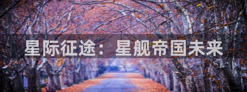 长征娱乐网页版地址：星际征途：星舰帝国未来