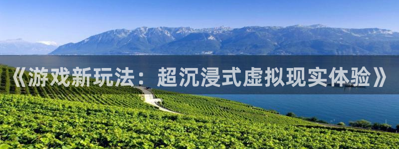 长征娱乐平台注册资金多少：《游戏新玩法：超沉浸式虚拟现实体验