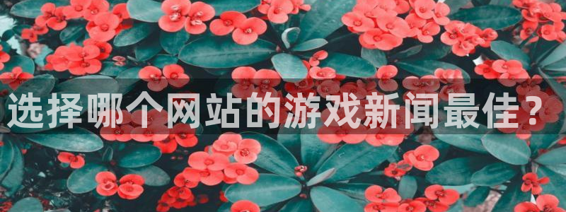 长征娱乐app：选择哪个网站的游戏新闻最佳？