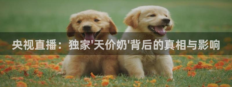 so米赛事直播