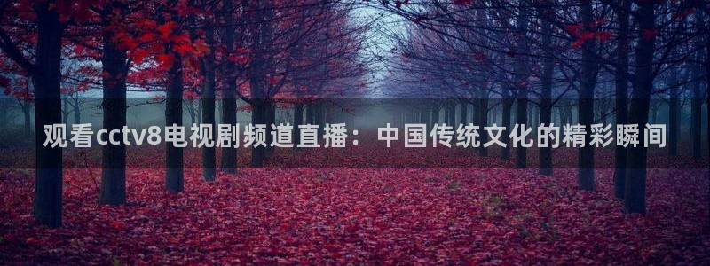 so米体育直播nba：观看cctv8电视剧频道直播：中国传统文化的精彩瞬间