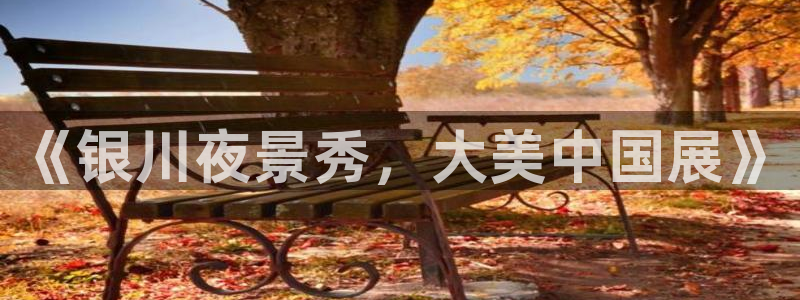 so米体育nba直播在线观看：《银川夜景秀，大美中国展》
