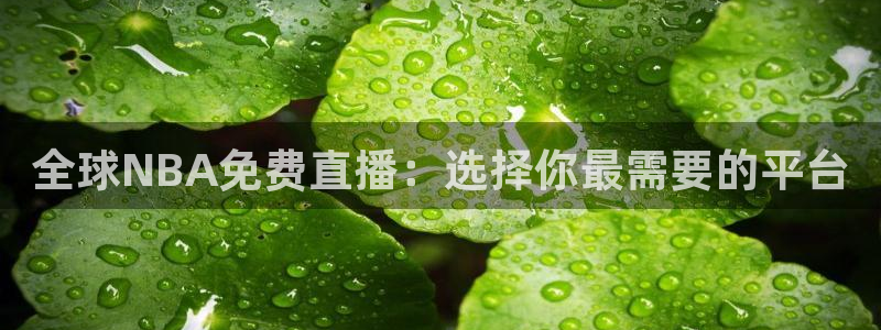 so米体育直播足球直播：全球NBA免费直播：选择你最需要的平台