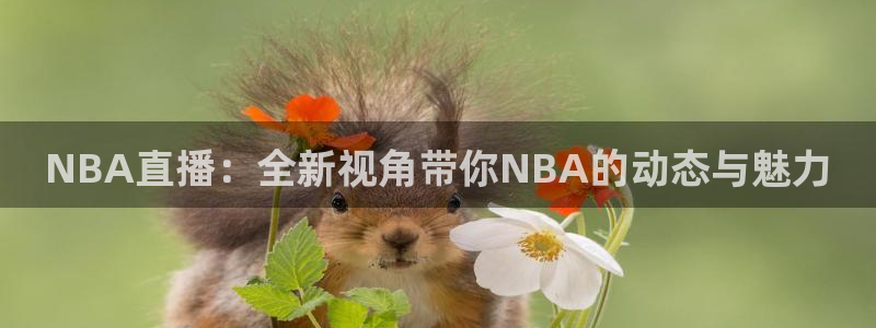 so米体育高清直播：NBA直播：全新视角带你NBA的动态与魅力